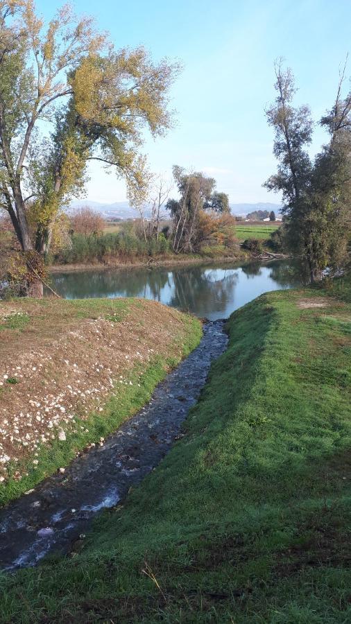 Sulla Ciclabile Apartment Lungo Il Fiume Adige Zevio エクステリア 写真