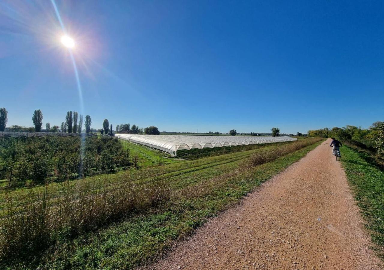 Sulla Ciclabile Apartment Lungo Il Fiume Adige Zevio エクステリア 写真