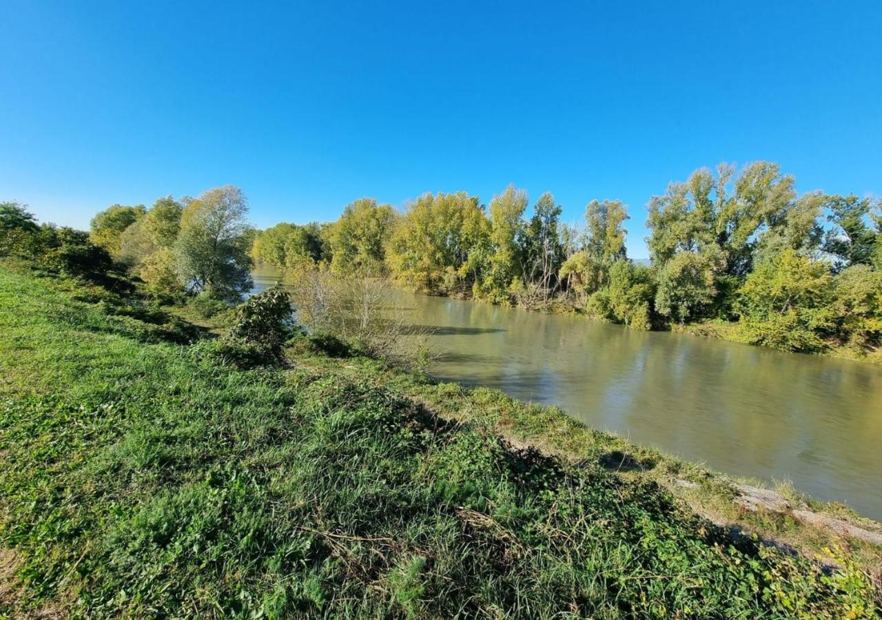 Sulla Ciclabile Apartment Lungo Il Fiume Adige Zevio エクステリア 写真