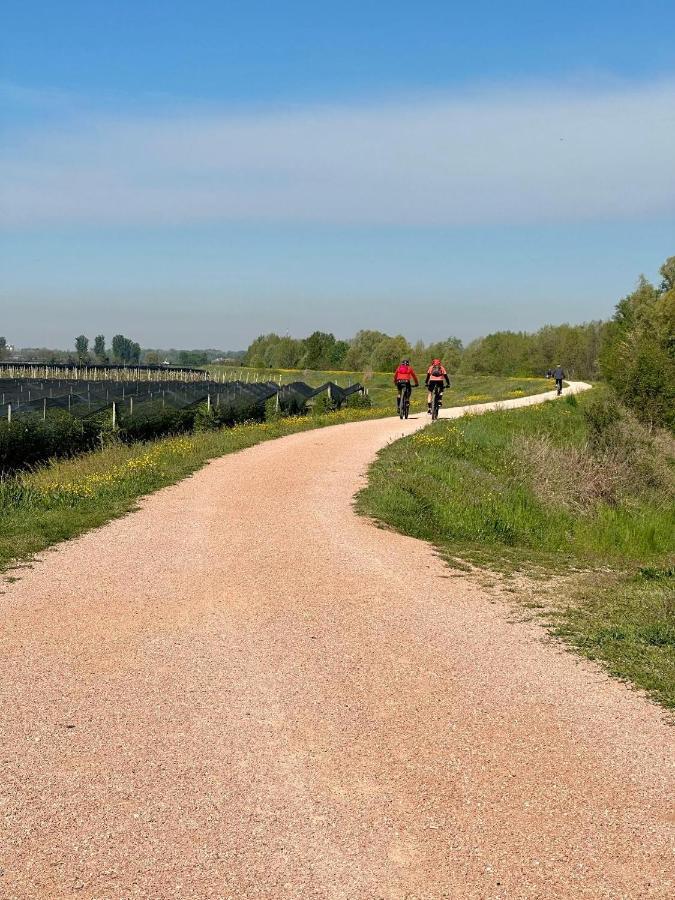Sulla Ciclabile Apartment Lungo Il Fiume Adige Zevio エクステリア 写真